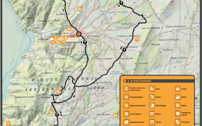 Ruta 7: Camino de Molina de la tia Luisa