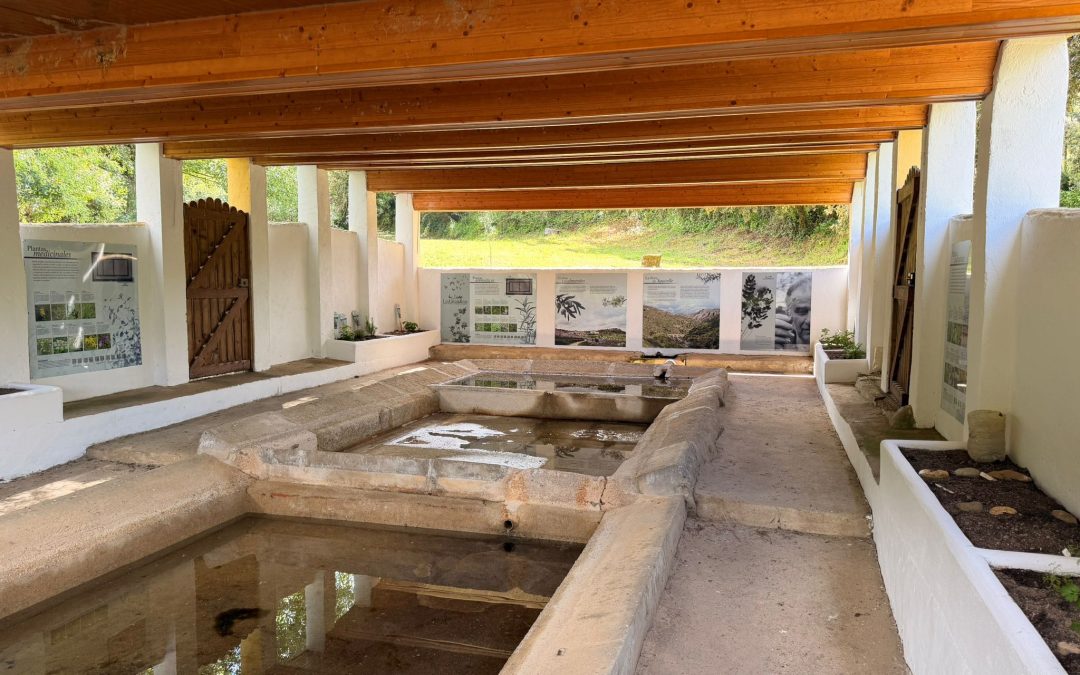Recuperación del sendero y de Las Lavanderas
